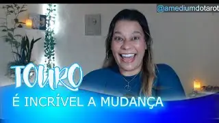 TOURO ♉ SEU PEDIDO É ATENDIDO! ALMAS GÊMEAS, COMEMORAÇÃO, INDEPENDÊNCIA...AGORA VAI! 