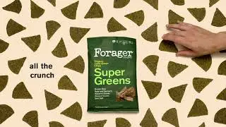 Amazon Sponsored Brand Video Ad Example (Forager Project Chips) - ALT Group