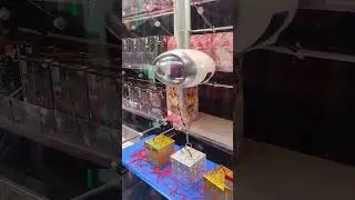 Easiest claw game to win on. Round 1 easy wins. #clawmachine #clawmachineshort #round1
