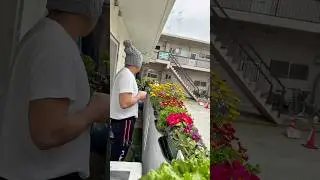 Balcony garden #nature lover #plantito #plantas #gardening #flower garden #balcony tips