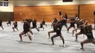 Silver Starlets Walk Through Routine