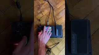 Аналог или цифра? #guitar #guitarist #гитара #гитарист