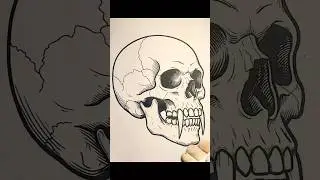 One Channel #17#SkullIllustration #skulldrawing #humanskulldrawing#onechannel #asmr