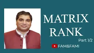 Matrix Rank