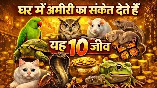 घर में अमीरी का संकेत देते हैं यह10 जीव जिन्हें आप अनदेख कर देते हैं किस्मत बदलते हैं