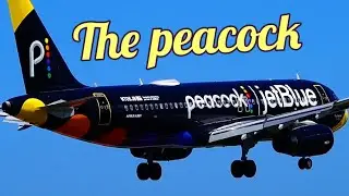 Airplane Spotting Jamaica close up views