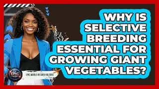 Why Is Selective Breeding Essential For Growing Giant Vegetables? - Epic World Record Holders