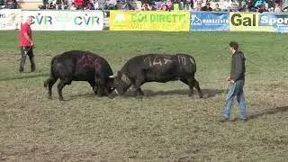 66 FINALE REGIONALE-pomeriggio 2parte
