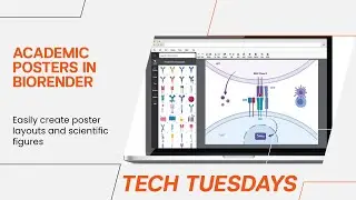 Tech Tuesday: Creating Academic Posters in BioRender