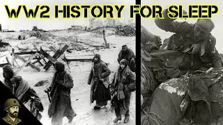 The Last Hours of the German Sixth Army at Stalingrad | Sleepless Veteran