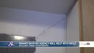 Sun Valley woman says mold has taken over her apartment