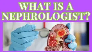 Kidney Doctor: What is a nephrologist?