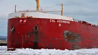 CSL Assiniboine - Announcing Her Arrival with a Squeak and a Growl