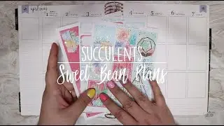 Memory Plan with me | Succulents || SweetBeanPlans