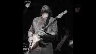 Tinsley Ellis - Are You Sorry