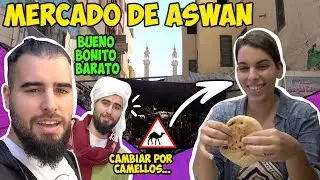 Qué ver y dónde comer en ASWAN 🇪🇬 Guía de Egipto