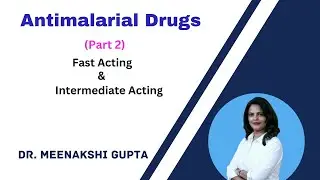 Antimalarial Drugs | Fast & Intermediate Acting