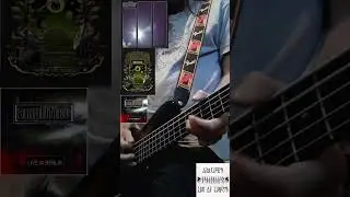Panzer intro - Amplifier