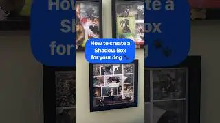 How to Create a Beautiful Memorial Shadow Box for Your DOG ❤️🐾