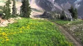 Snowbird Big Mountain MTB Trail