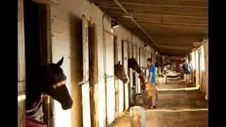 Join Flying G Racing's Horse Racing Partnership
