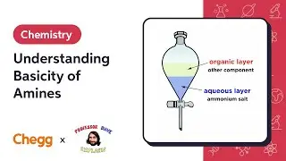 Understanding Basicity of Amines Ft. Professor Dave