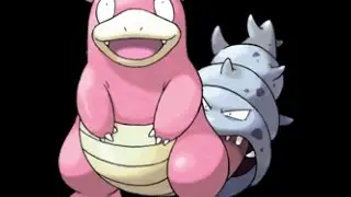 SlowBro's silver shell
