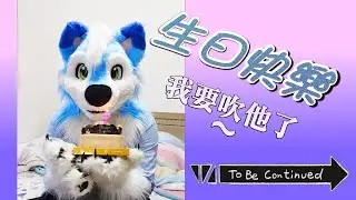 【Furry DigiKnight DFF #84】天天~快樂~的鎧洛! ~ Happy Birthday Yarkairo!