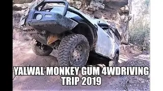 YALWAL-MONKEY GUM 4WDRIVING TRIP