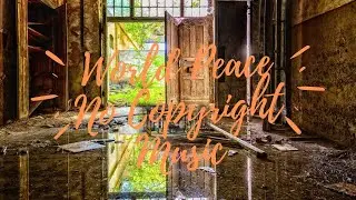 #NoCopyrightMusic#WorldPeaceNoCopyrightMusic#DrumnBass-Chillout 2-Pulses-Drum n bass-1tamara2