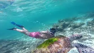 Riviera Maya Luxury Sailing | Cancun Adventures&reg;