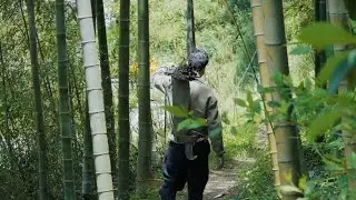 Bamboo equipment 😯😯#viral #video #nature #beauty #viralvideo #comment 