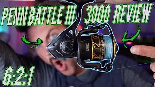 Penn Battle 3 3000 Review! Best Inshore Fishing Reel For the Money!