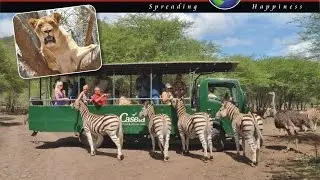 AMAZING AFRICAN SAFARI CASELA PARK MAURITIUS LATIKAS WORLD