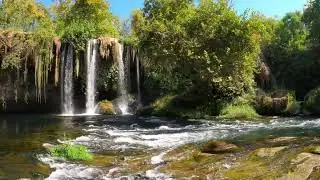 Healing Meditation: Restore Your Mind and Body #restoration #mindset #innerpeace #tranquility #body