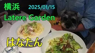横浜 Latere Garden(ドッグカフェ) みなとみらい近く
