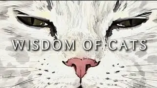 WISDOM OF CATS