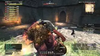 Dragon's Dogma Online Raid Mission Level 20 Seeker POV
