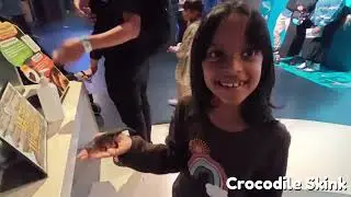 Jakarta Adventure - Day 2 - Jakarta Aquarium