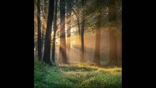 Piano suave de diciembre 03 🎹 | Música para relajarte y sentir la temporada
