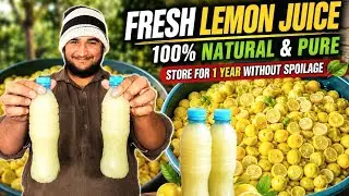 Lemon Juice Preserve for 1 Year | Lemon Juice Storage Method | Fresh Lemon Juice at Home | Toqeer