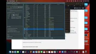 FL Studio Detached Bridged plugins fix