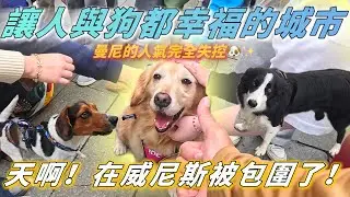 我只是帶狗散步🐶結果在威尼斯被包圍了🇮🇹【PET IN VENICE PART 5 】