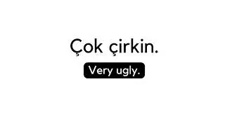 100 Turkish phrases with English translation - Beginner Level