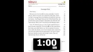 Timed Reading Assessment