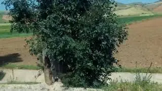 الطريق الى الكاف بين مدين ودار السلام