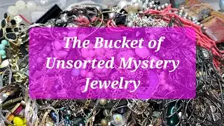 The Bucket of unsorted Jewelry !  #unboxing