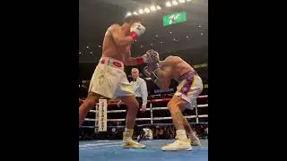 JAIME MUNGUIA | FORMER WBO SUPER WELTERWEIGHT CHAMPION OF THE WORLD | KNOCKOUT ARTIST FROM MEXICO