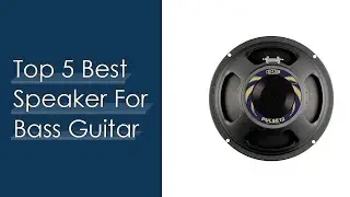 Top #5 Best Speaker For Bass Guitar Reviews With Products List