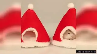 Hamster Nest Christmas Winter Warm Small Pet Cage Sleep Bed for Guinea Pigs Hedgehog Cage Accessorie